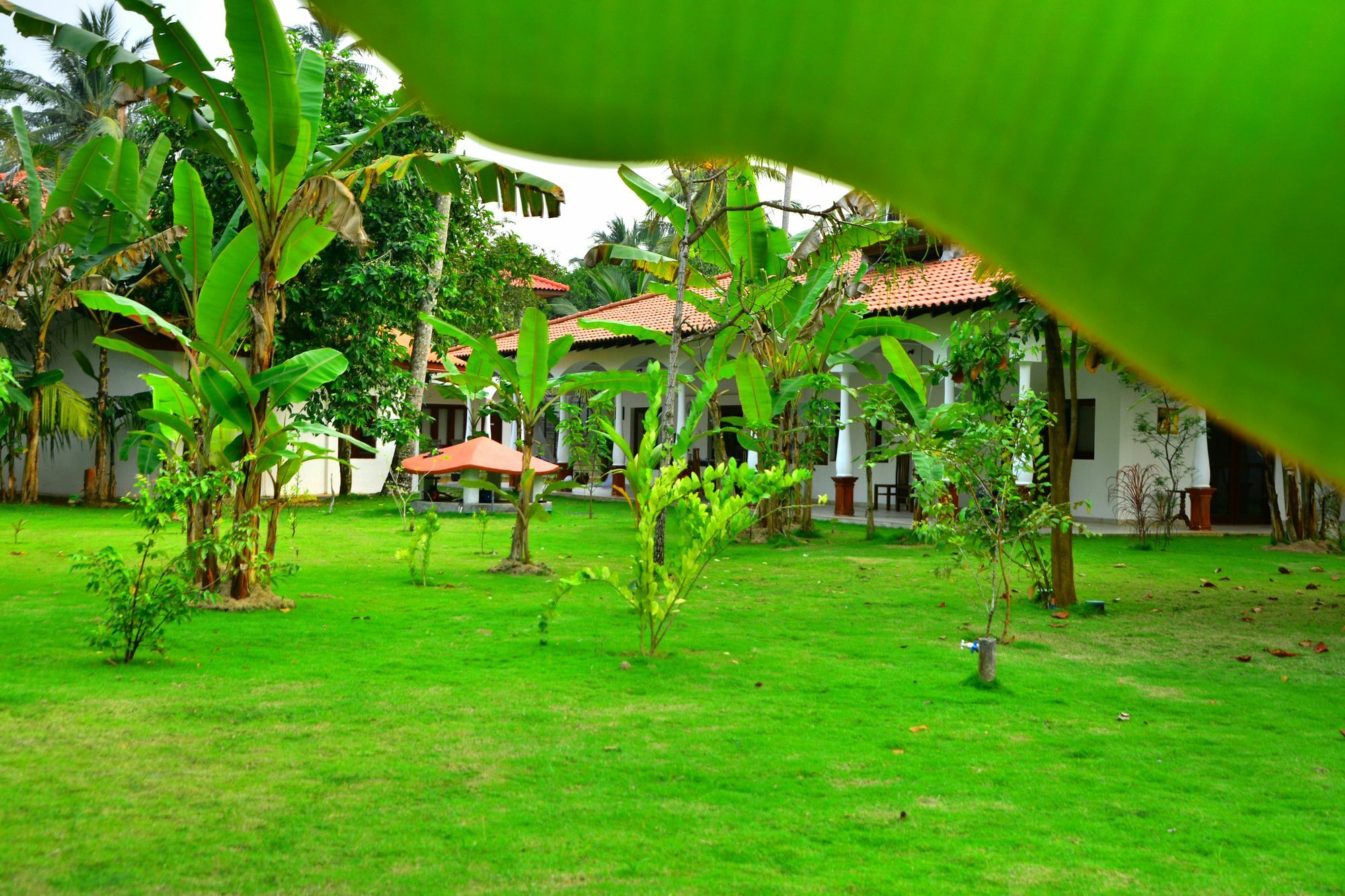 Hotel Lucas à Kosgoda Extérieur photo