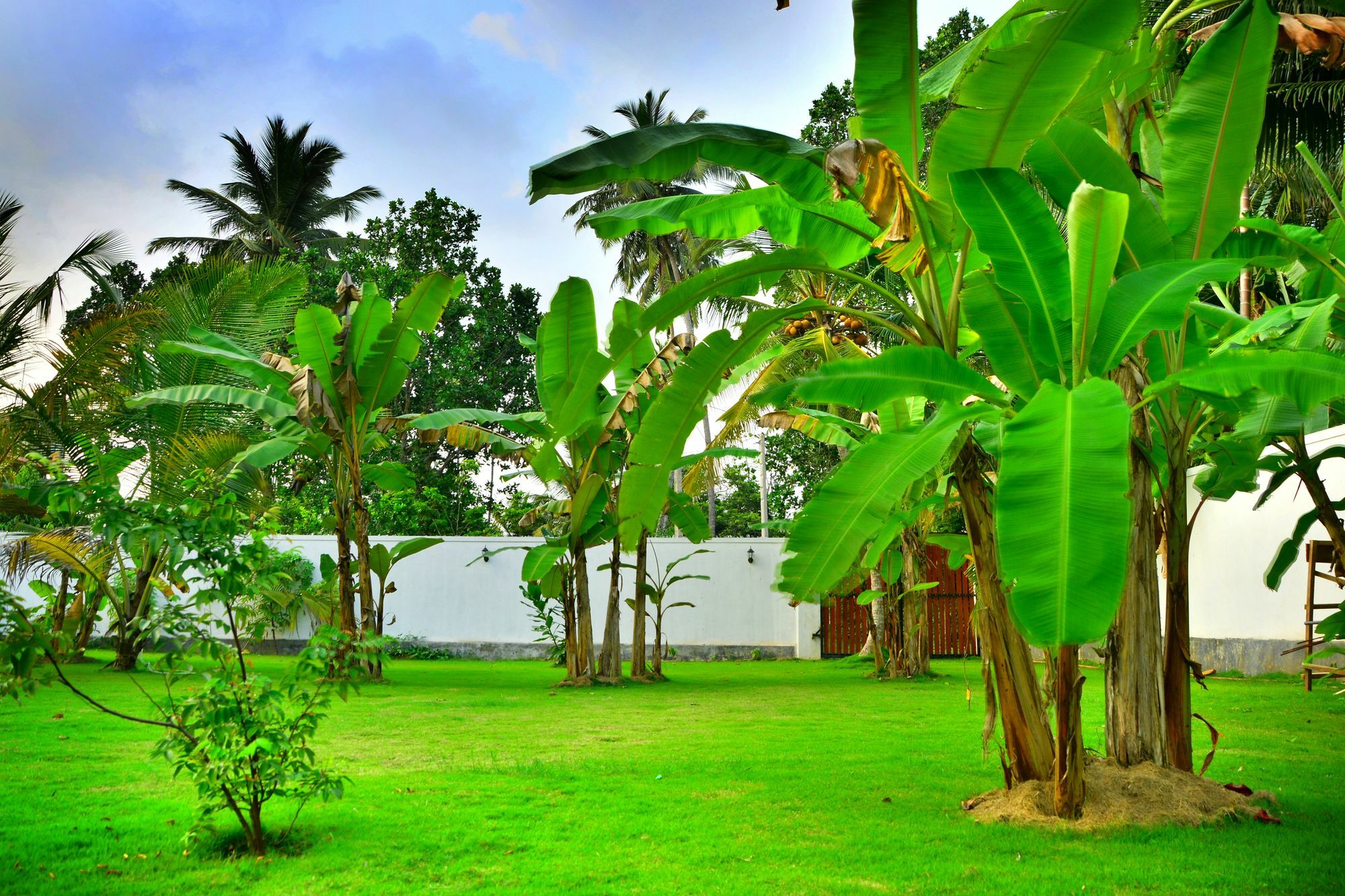 Hotel Lucas à Kosgoda Extérieur photo